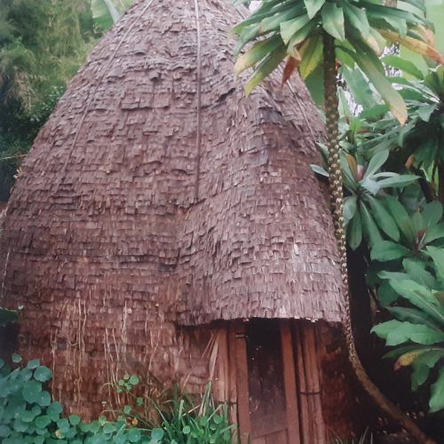 cultures